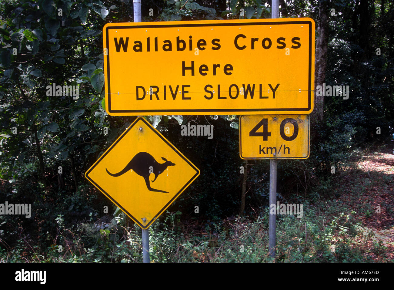 Novembre 1995 Bunya Mountains National Park Queensland Australia segno di avvertimento Foto Stock