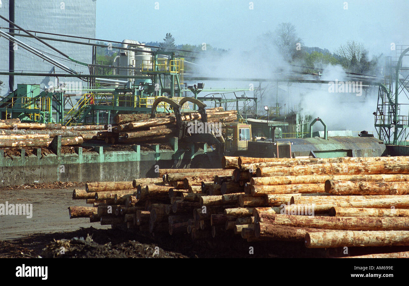 Willamette Industries mulino di legname in Dallas Oregon USA Foto Stock