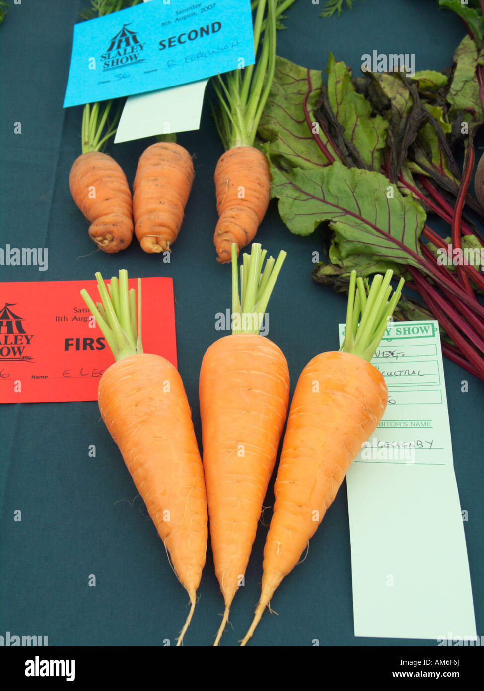 Le carote sulla visualizzazione in una classe di concorso all'Slaley spettacolo agricolo, Northumberland, England, Regno Unito Foto Stock