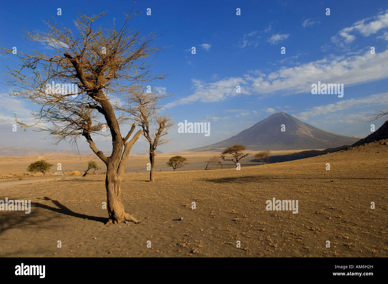 Tanzania, Rift Valley, zona Sud Est, Lago Natron regione, Oldoinyo Lengai, il Masai montagna sacra Foto Stock