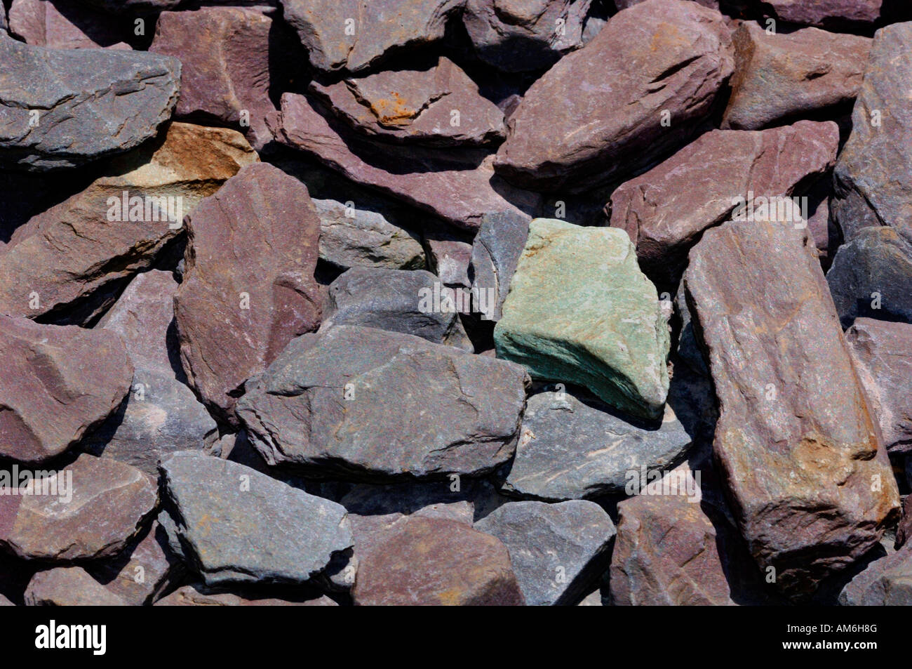 Pezzi di roccia argillosa utilizzata per effettuare un percorso di giardino. Foto Stock