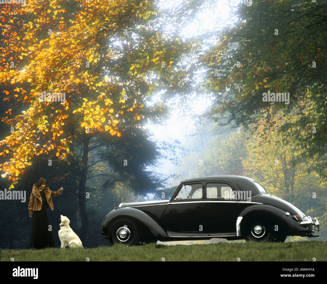 CLASSIC CARS: Riley RME Berlina (1952) Foto Stock