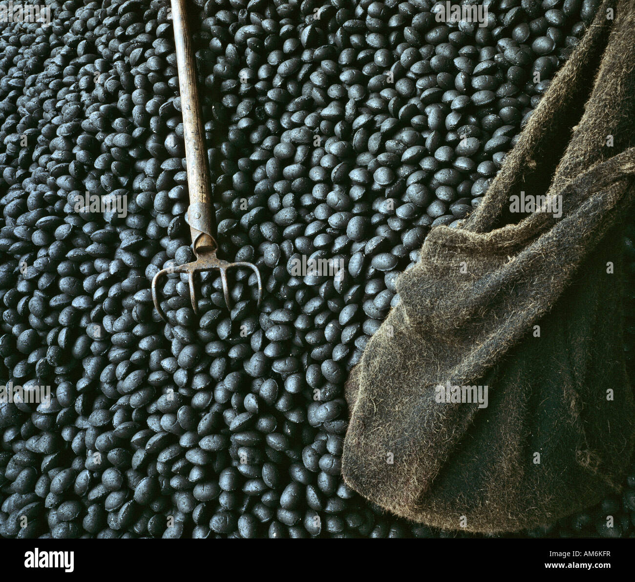 Il carbone, il sacco e la forcella Foto Stock