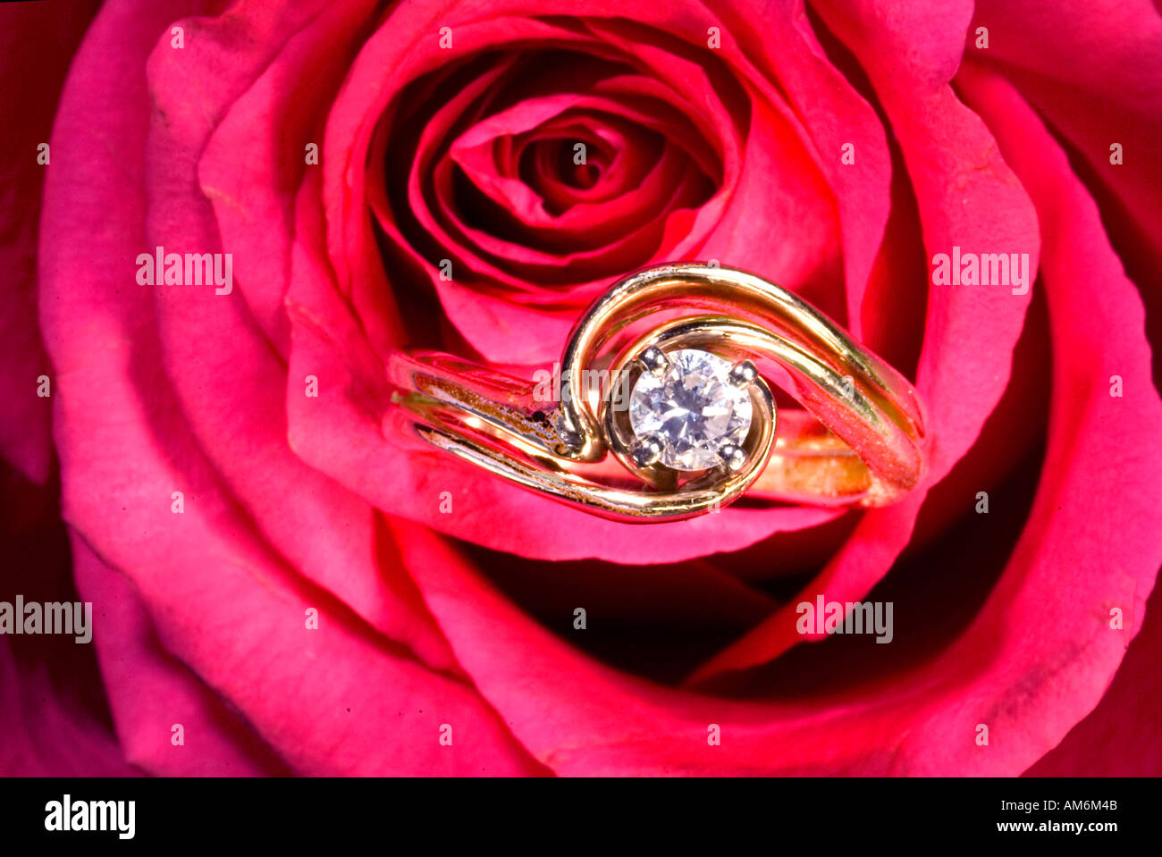 Taglio brillante anello diamante incastonato tra i petali di rosa rossa close up Foto Stock