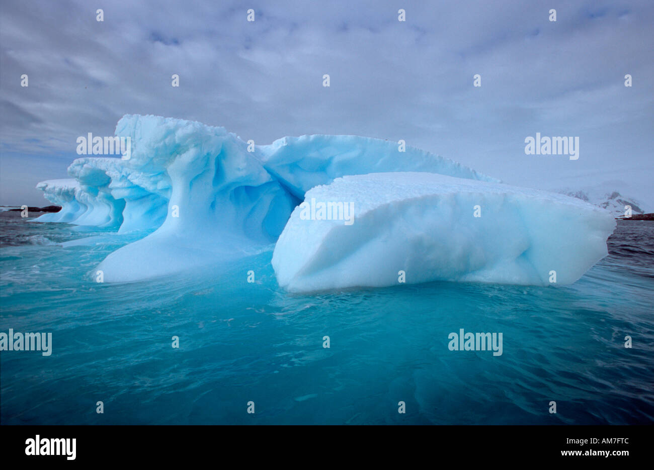 Iceberg, Pleneau Island Antarktische Halbinsel, Antartide Foto Stock