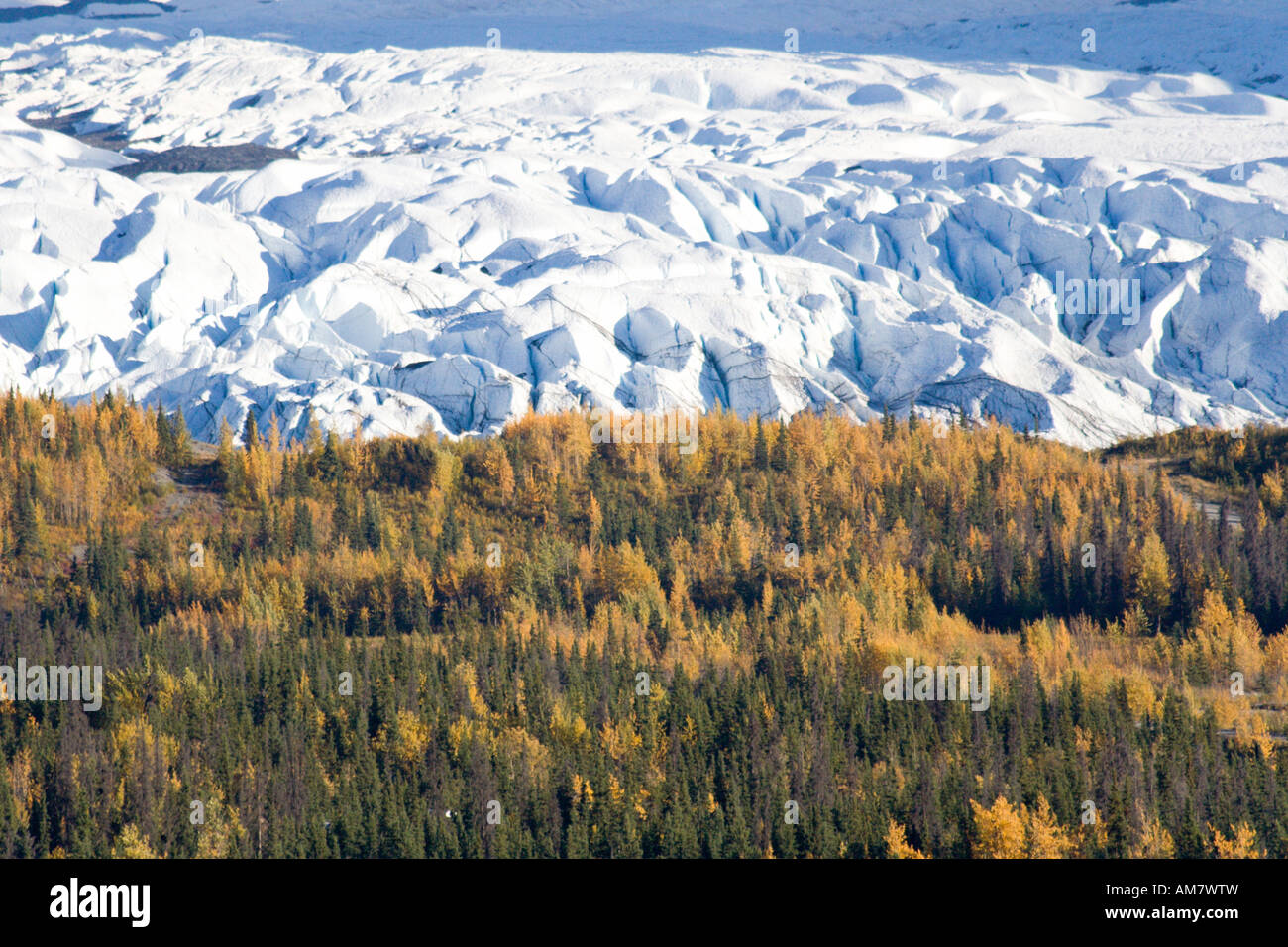 Matanuska Glacier, Chugach Mountains, Alaska, STATI UNITI D'AMERICA Foto Stock