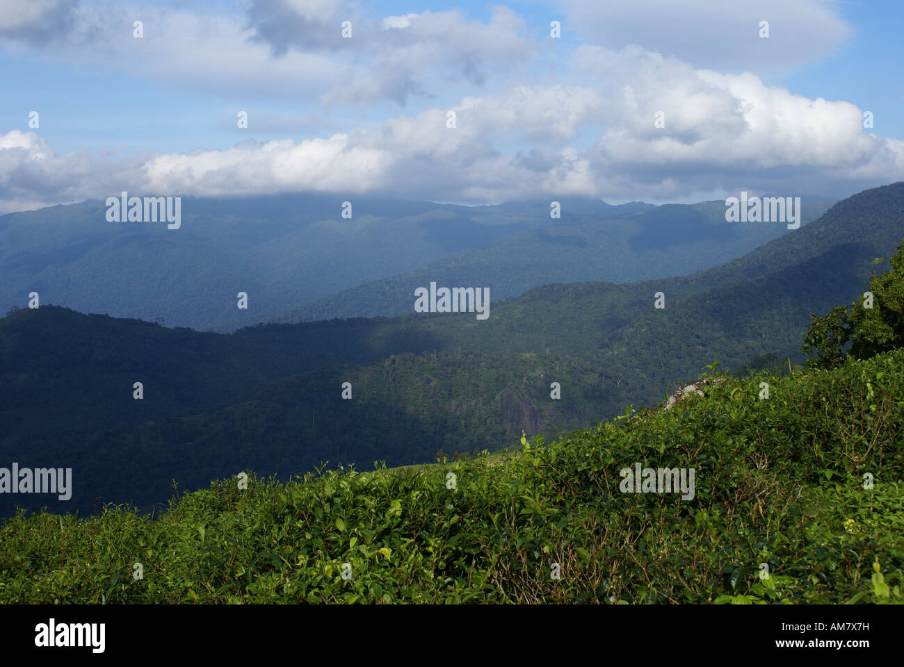 Il luogo è Ponmudi in Kerala, India Foto Stock