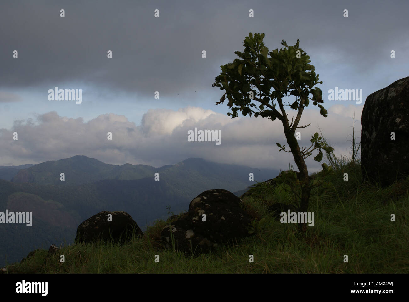 Il luogo è Ponmudi in Kerala, India Foto Stock