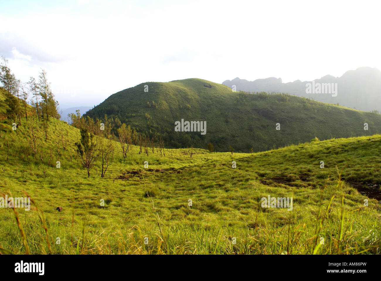 Il luogo è Ponmudi in Kerala, India Foto Stock