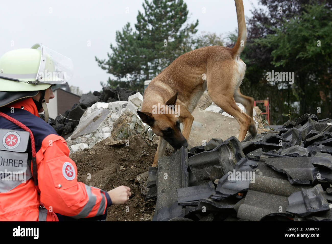 Operazioni di ricerca e salvataggio cane su un cumulo di macerie, Diepeschrather Weg, Bergisch Gladbach, Nord Reno-Westfalia, Germania Foto Stock