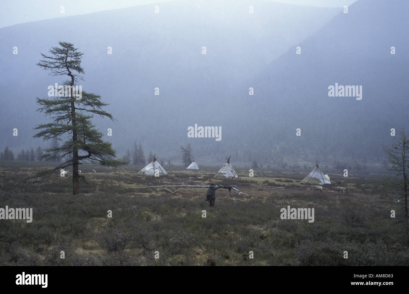 Tsaatan famiglia al di fuori del loro teepee / casa nella Taiga Foresta Montagne Foto Stock