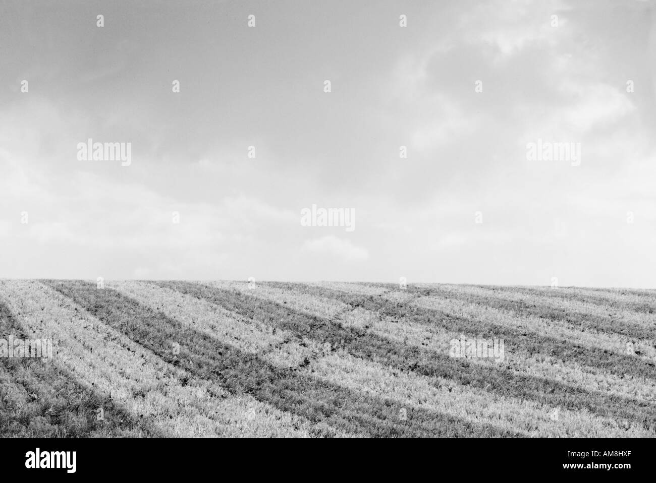 Diverse accattivanti paesaggi agricoli con un modello di forte Foto Stock