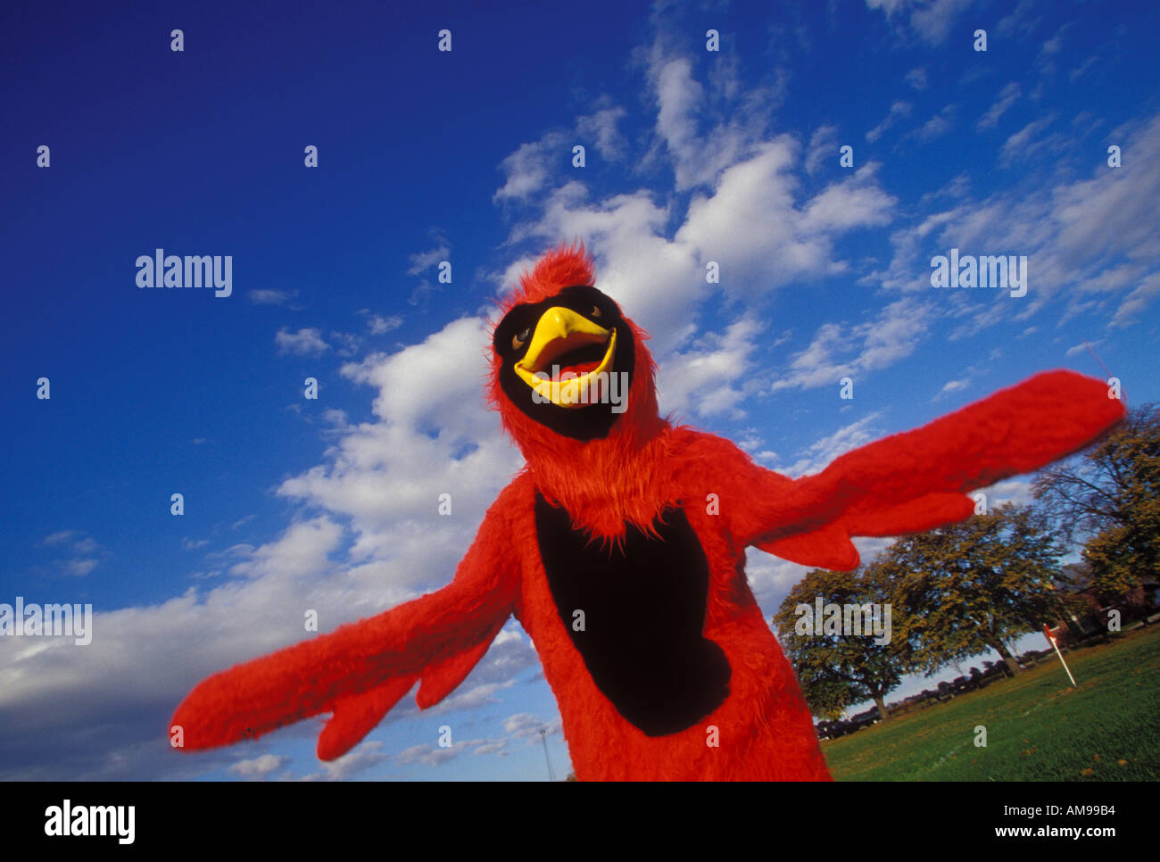 Mascotte della squadra Foto Stock