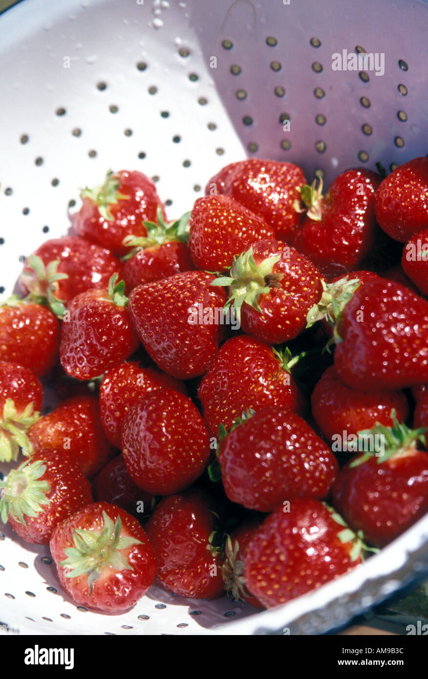 fragole Foto Stock