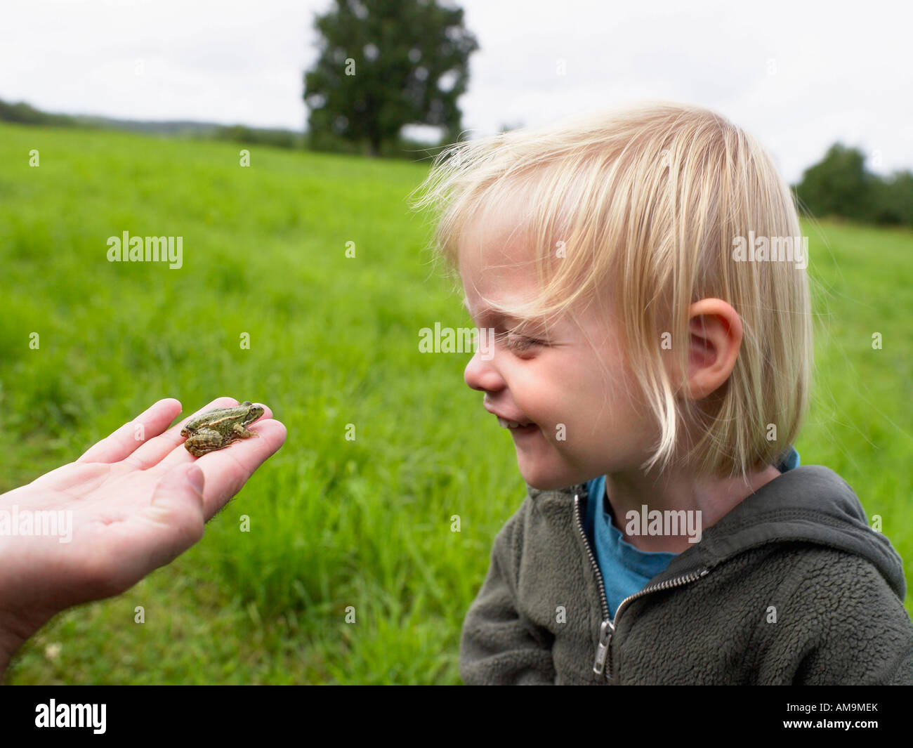 Giovane ragazza sorridente guardando una piccola rana tenuto in una mano d'uomo. Foto Stock