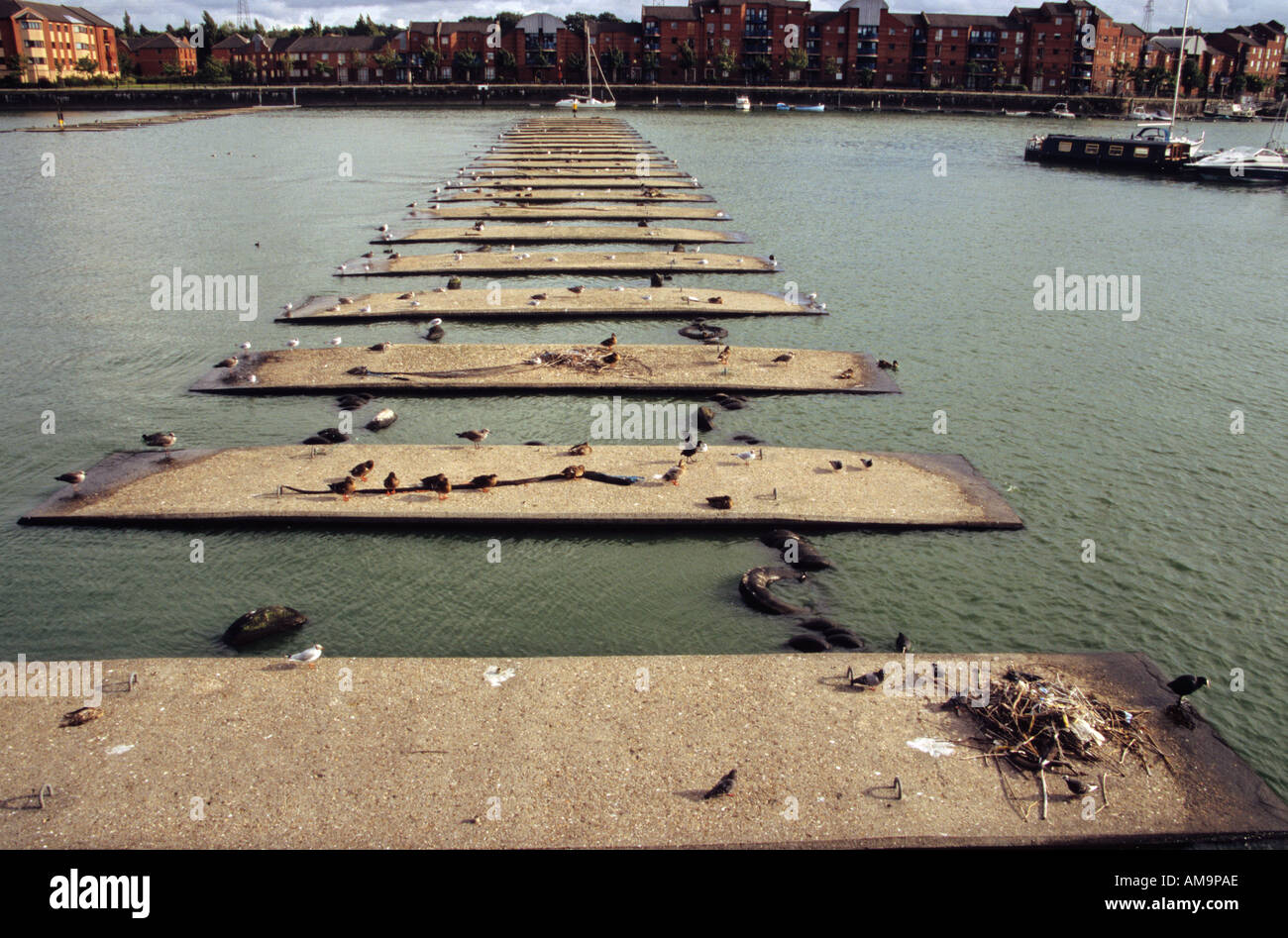 Edward Albert Dock a Preston Riversway Docklands Foto Stock
