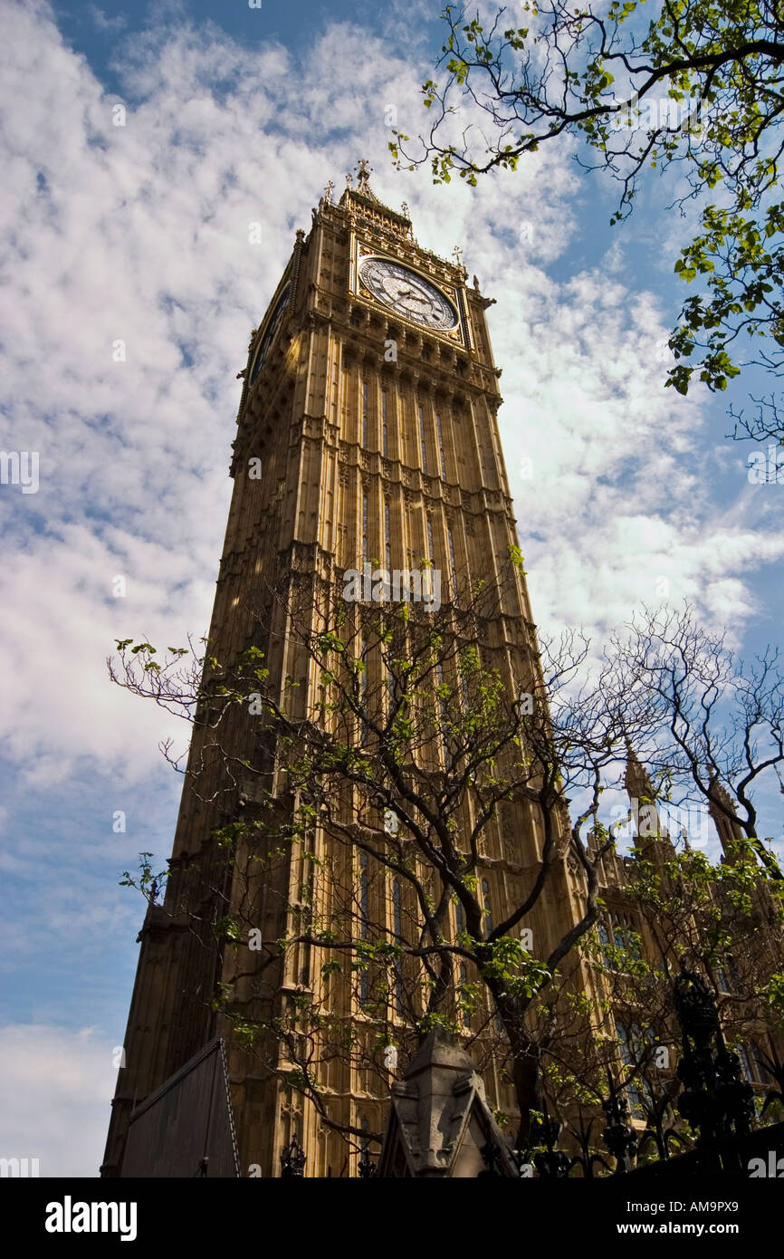 Skyward vista del Big Ben Case del Parlamento di Londra Foto Stock