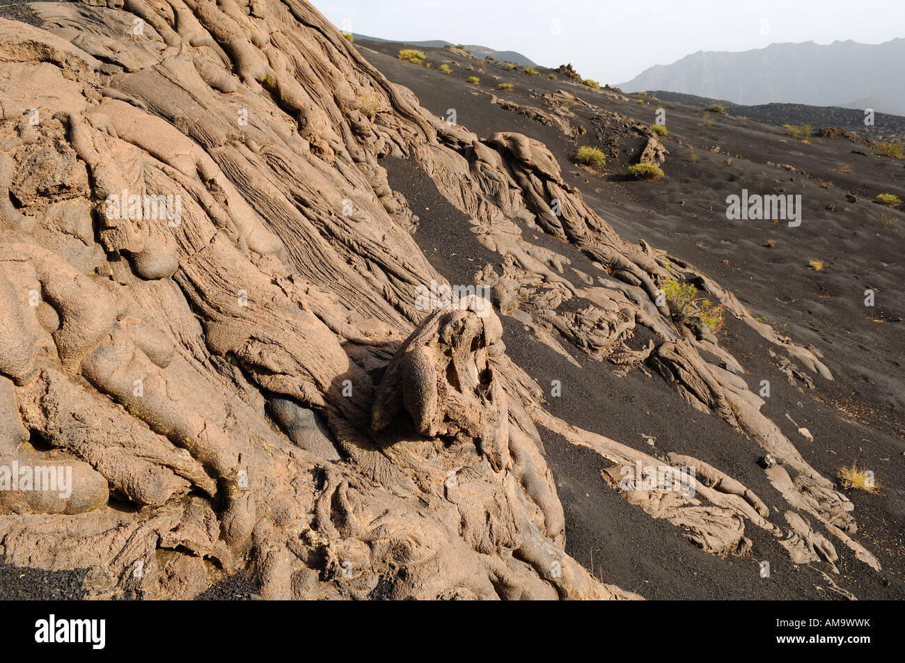 Capo verde isola di Fogo, Fogo vulcano Caldera, flusso di lava Foto Stock