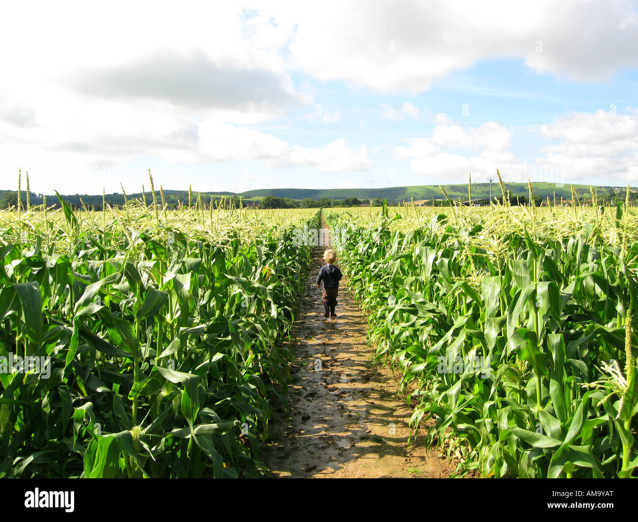 Ragazzo nel campo Foto Stock