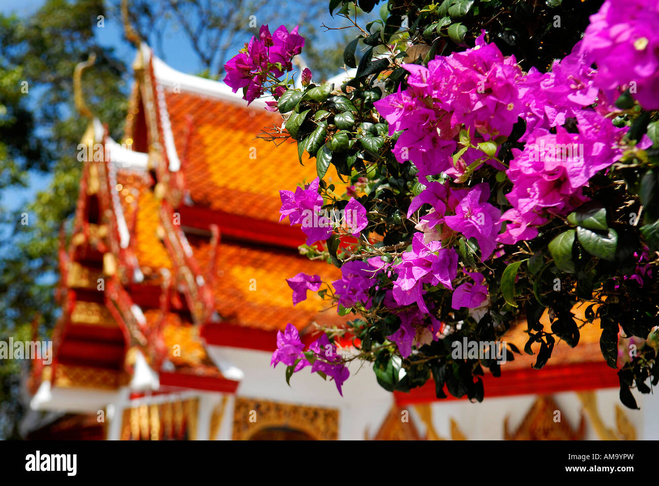 Il Doi Suthep, Chiang Mai Thailandia Foto Stock