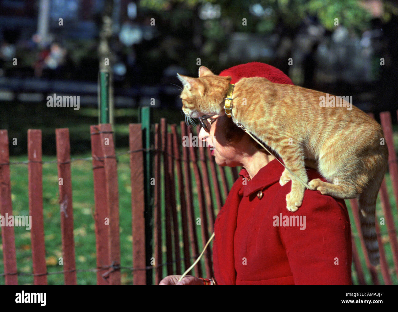 Persone New York Foto Stock