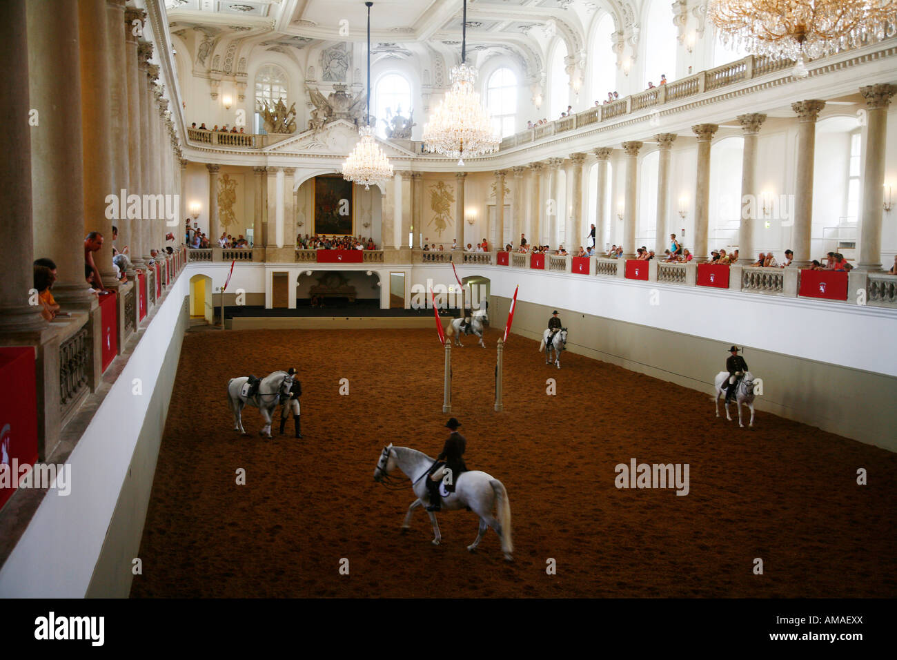 La scuola di equitazione spagnola sono state stalloni lipizzani sono addestrati a Vienna Austria Foto Stock