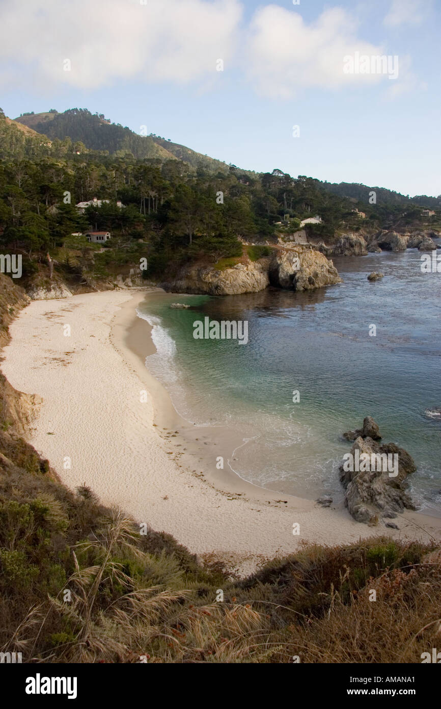 Gibson Beach Point Lobo Riserva Statale vicino a Carmel California USA Foto Stock