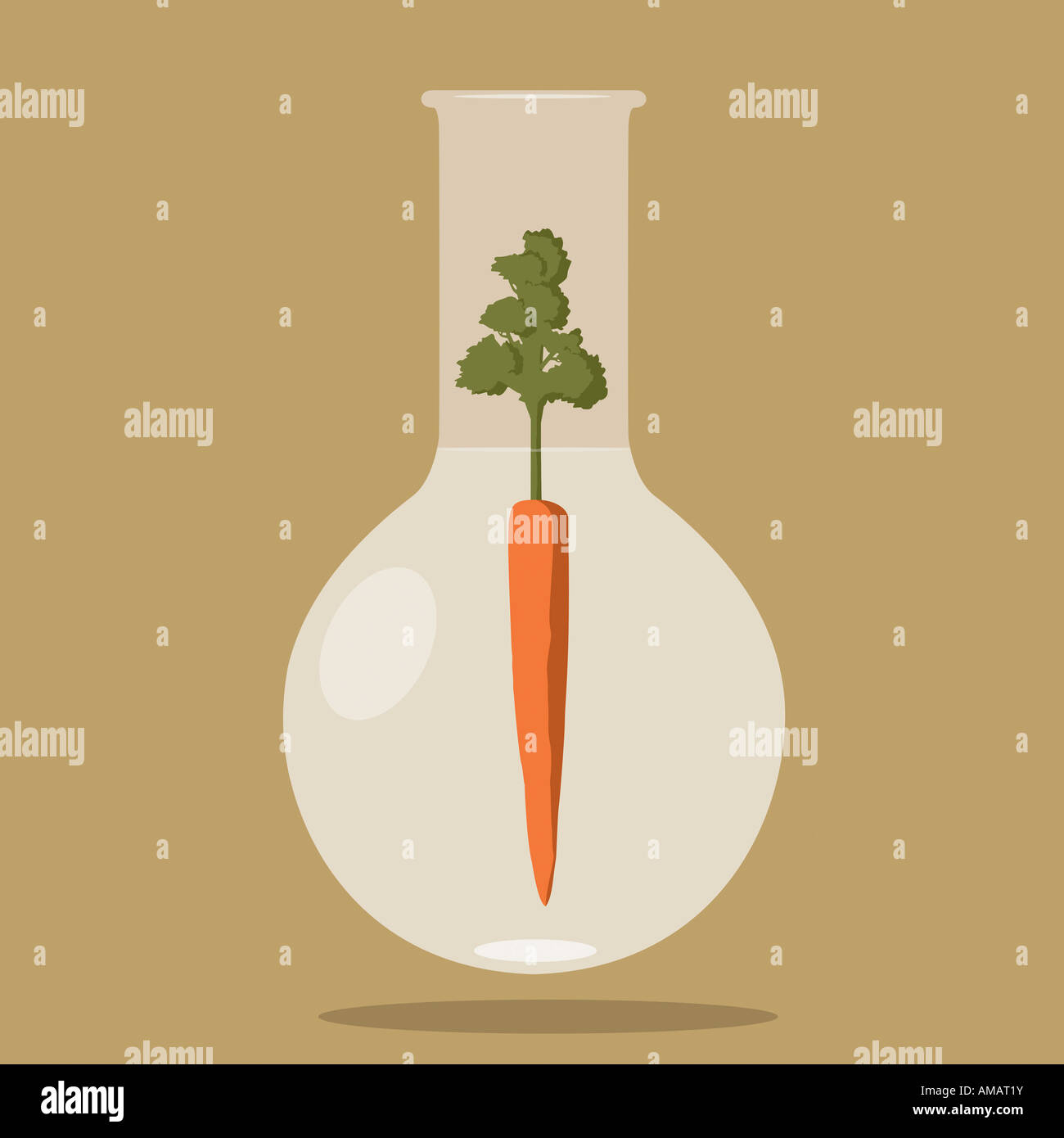 Una carota all'interno di una provetta Foto Stock