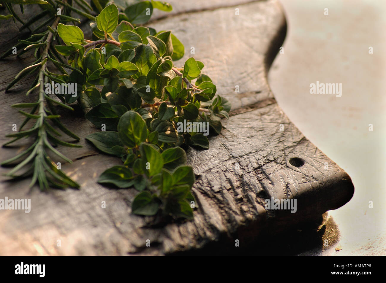 Il rosmarino e origano erbe fresche su legno vecchio tagliere Foto Stock