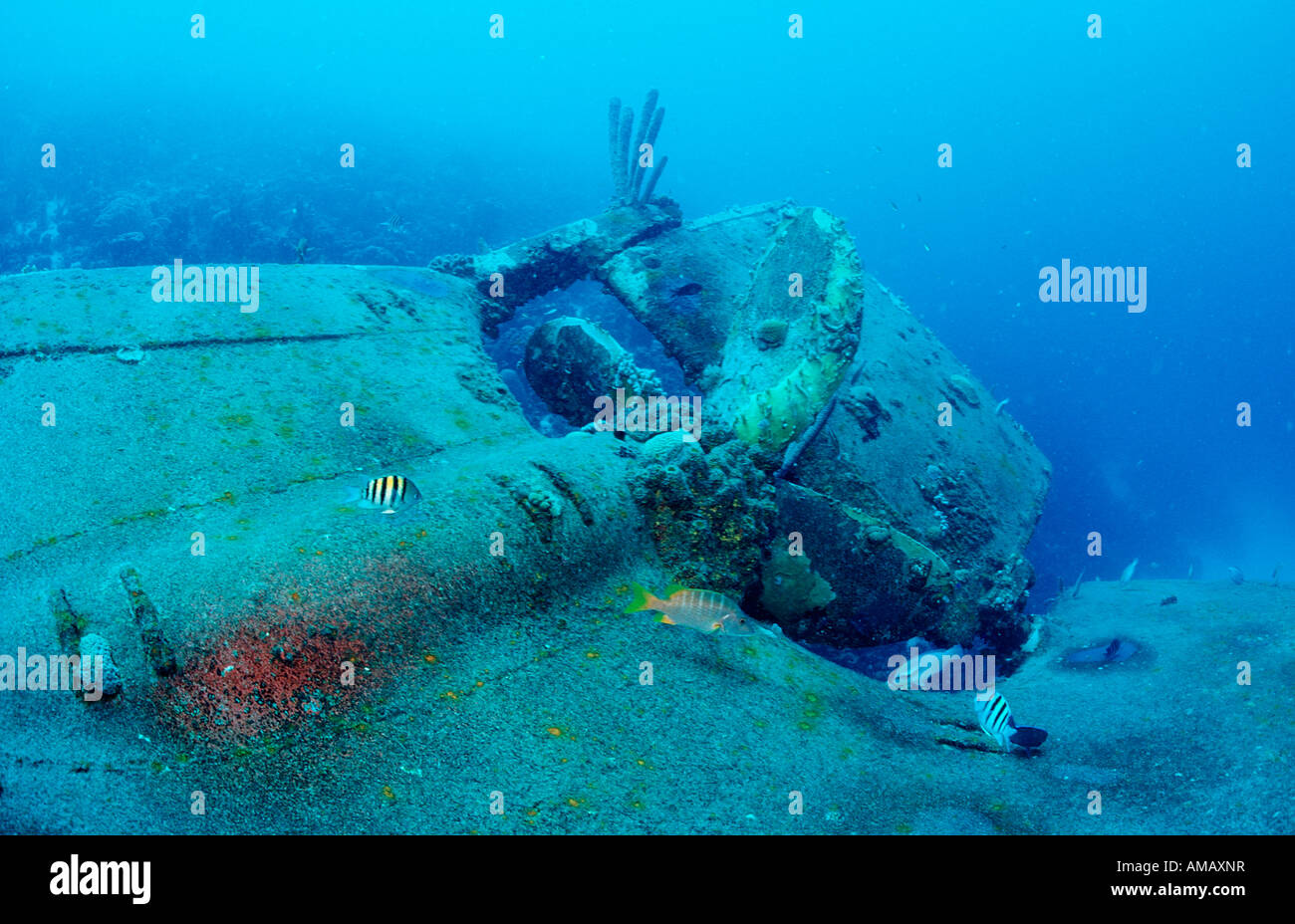 Hilma Hooker nave relitto elica Antille Olandesi Bonaire Mar dei Caraibi Foto Stock