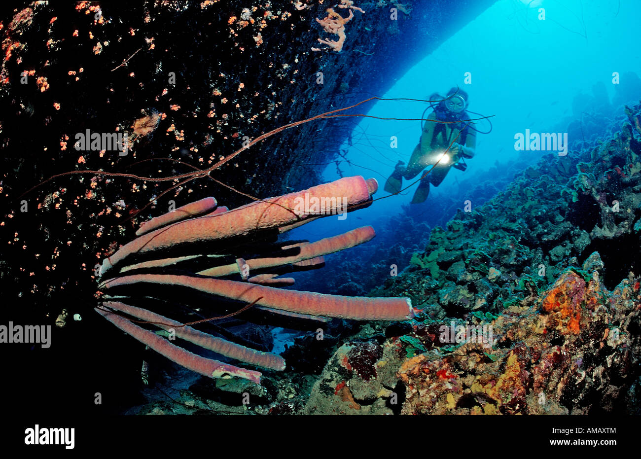 Scuba Diver sul Hilma Hooker nave relitto Antille Olandesi Bonaire Mar dei Caraibi Foto Stock
