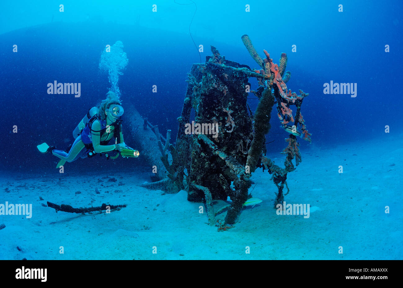 Scuba Diver sul Hilma Hooker nave relitto Antille Olandesi Bonaire Mar dei Caraibi Foto Stock