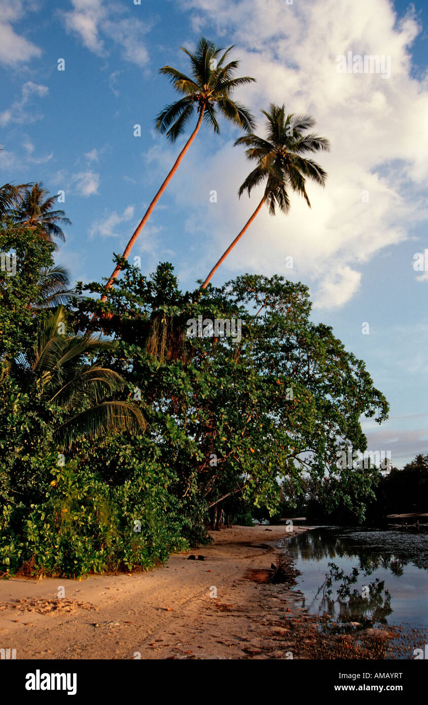 Isola vicino a Kavieng Papua Nuova Guinea Nuova Irlanda Kavieng Foto Stock