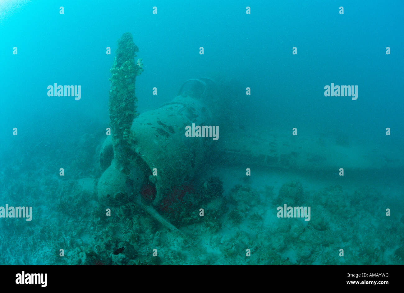 Nakajima B5N2 Kate Aerosilurante Papua Nuova Guinea Nuova Irlanda Kavieng Foto Stock