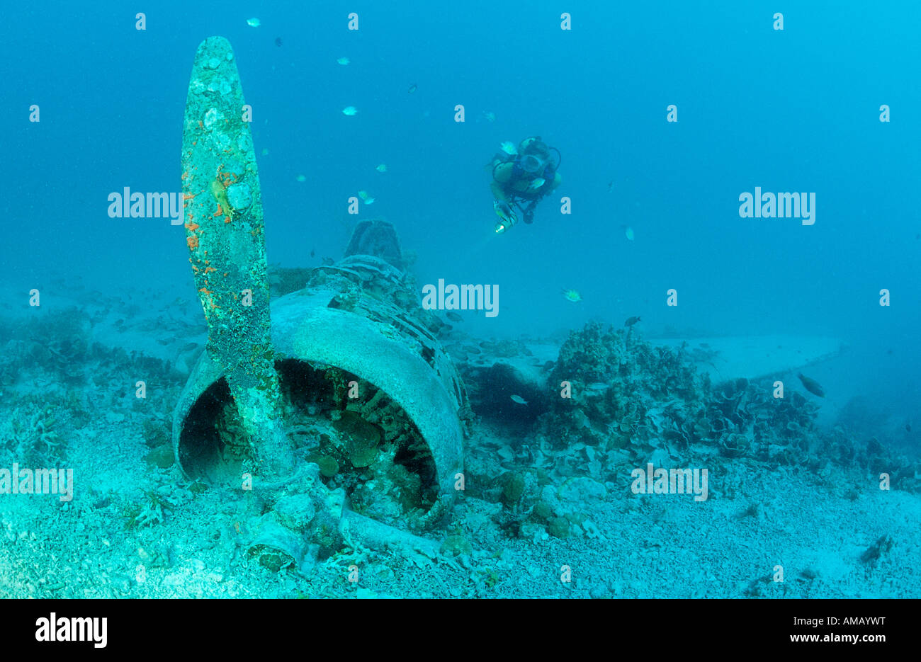 Nakajima B5N2 Kate Aerosilurante e scuba diver Papua Nuova Guinea Nuova Irlanda Kavieng Foto Stock