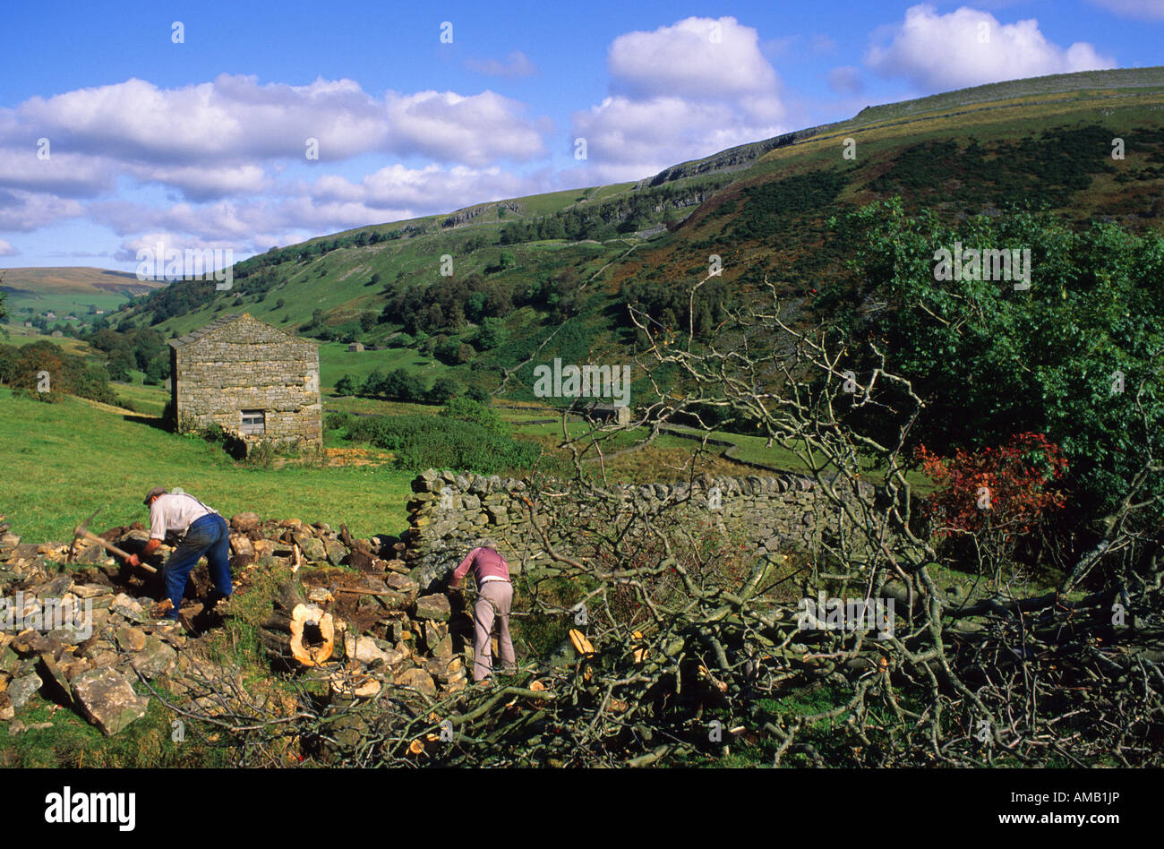 Stalattite wallers riparazione parete vicino Thwaite Swaledale Yorkshire Dales REGNO UNITO Foto Stock