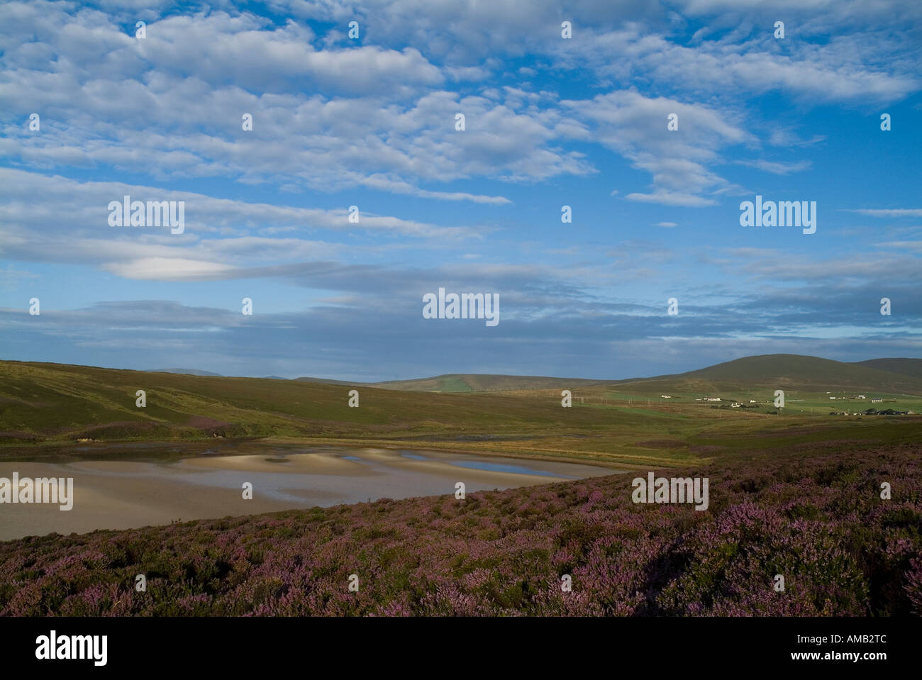 dh Waulkmill Bay ORPHIR ORKNEY erica viola sopra la baia di sabbia fuga pace cielo blu lontano Foto Stock