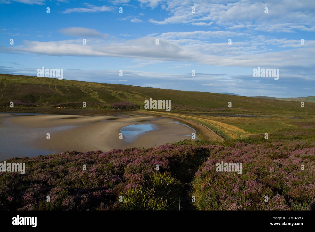 dh Waulkmill Bay ORPHIR ORKNEY sentiero attraverso erica viola giù a baia di sabbia lontano riva vuota Foto Stock