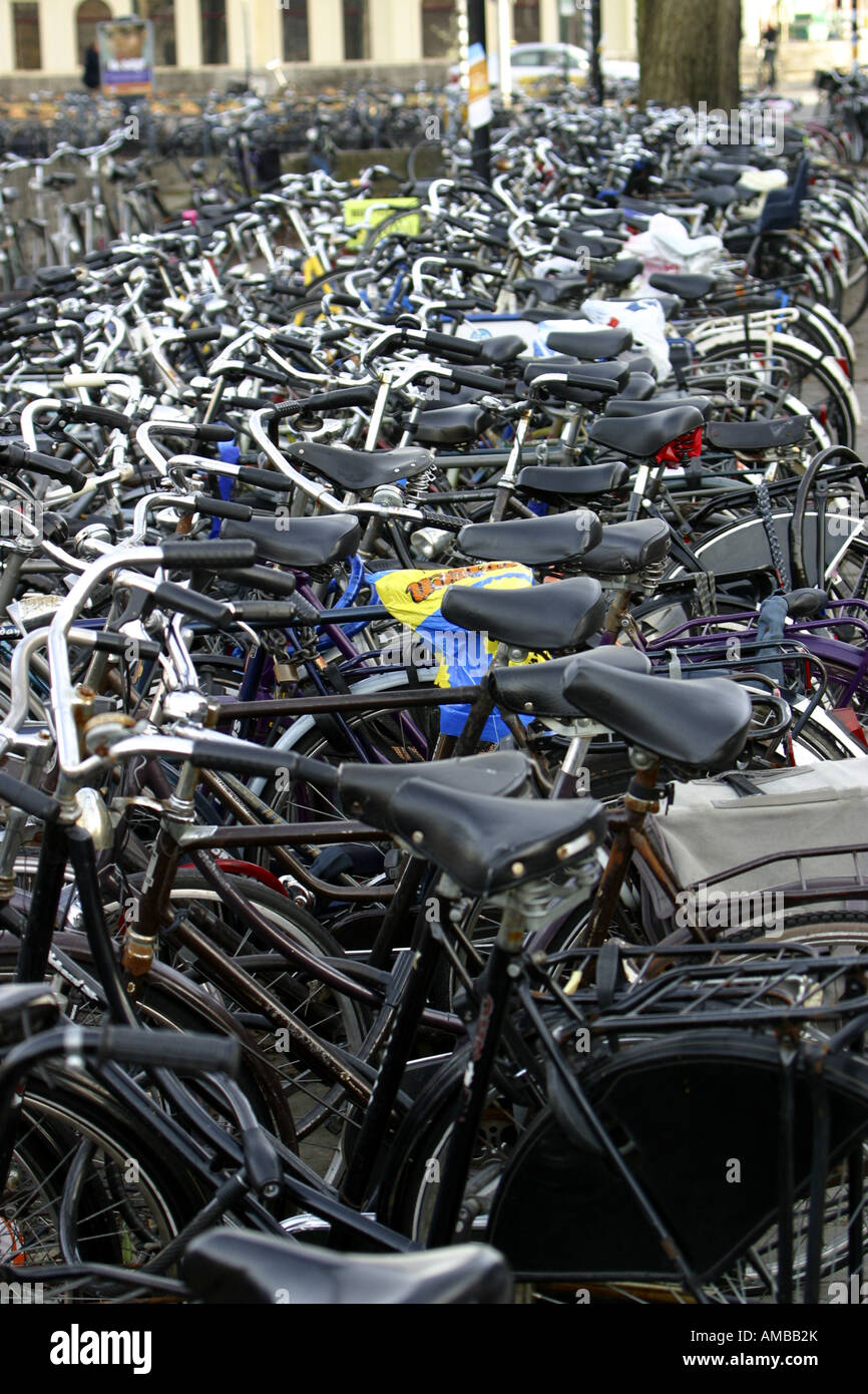Parcheggio per biciclette, parco e ride, Germania, Osnabrueck Foto Stock