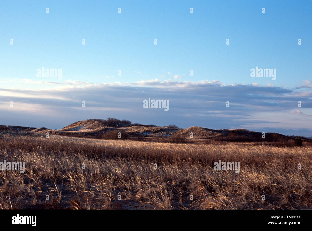 Dune invernali Parker River National Wildlife Refuge Massachusetts Foto Stock