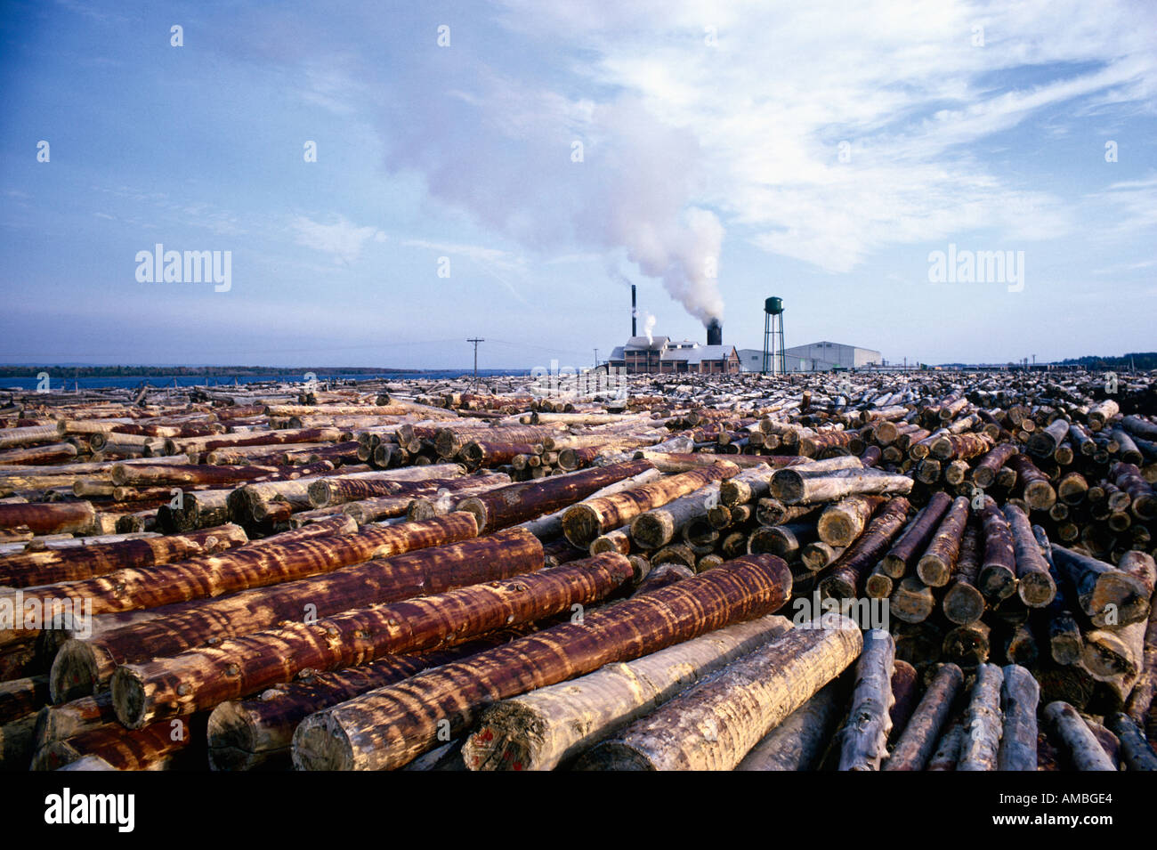 Un numero enorme di segherie di log dal bordo del fiume Ottawa per il mulino di polpa di produzione di carta da giornale Ontario Canada Foto Stock