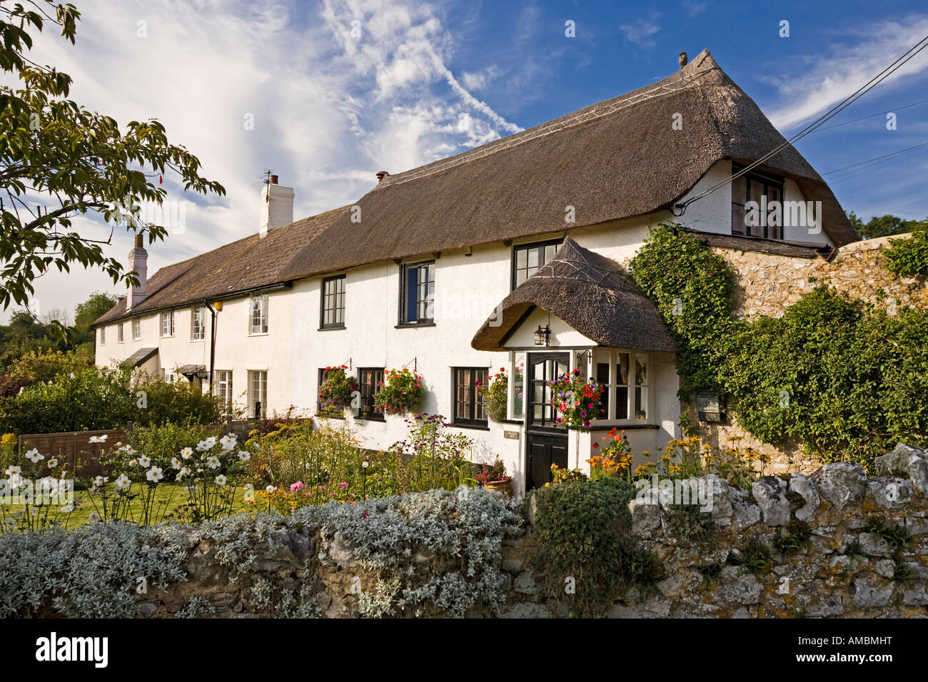 Cottage con il tetto di paglia con grazioso giardino inglese nel villaggio di Shute, East Devon, Inghilterra, Regno Unito in estate Foto Stock