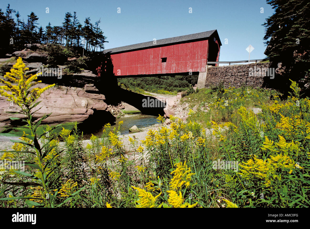 Elk126 1833 Canada New Brunswick Fundy NP punto Wolfe ponte coperto Foto Stock