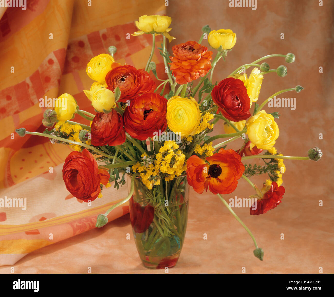 Profumo : renoncules Foto Stock