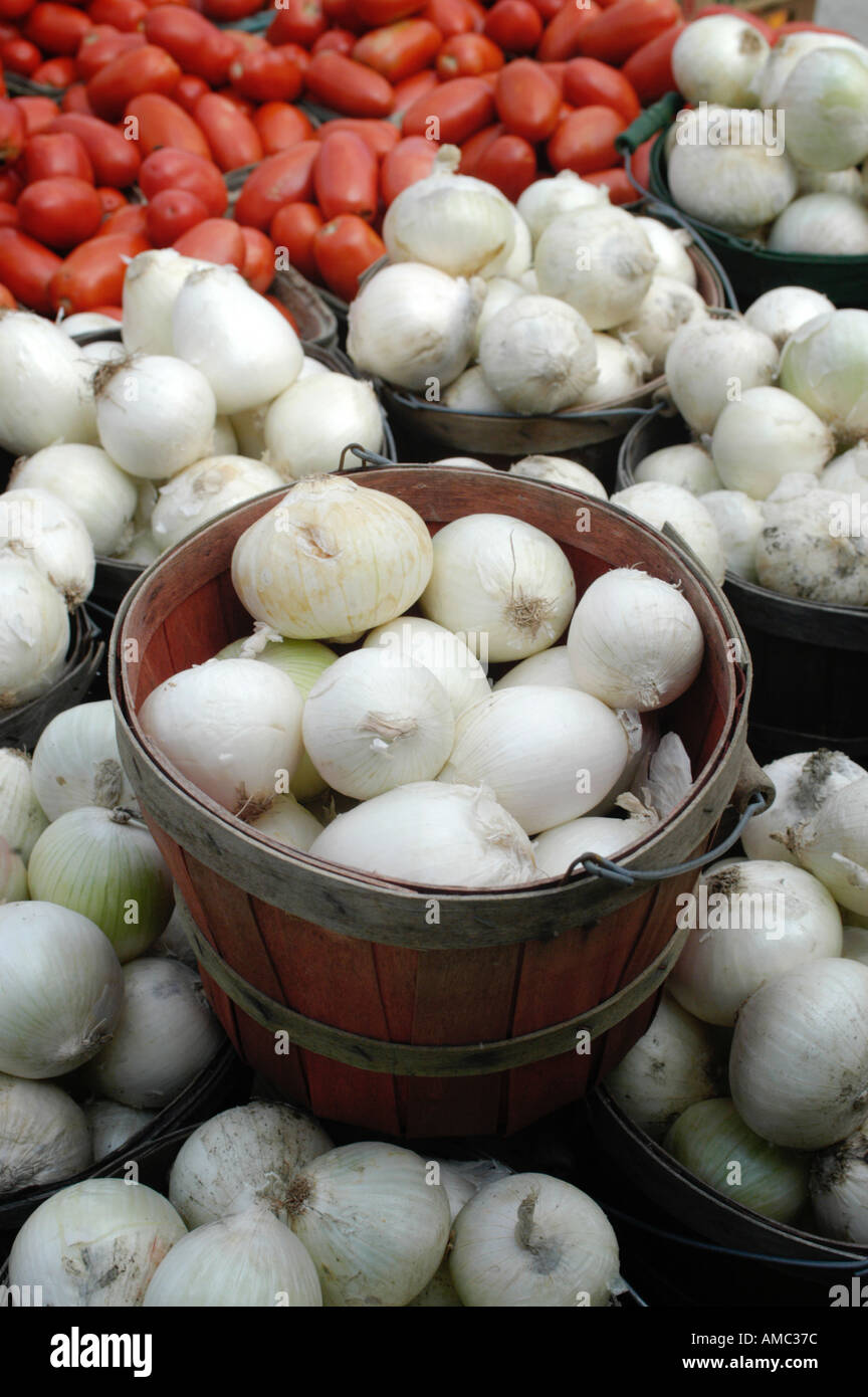 Cipolle bianche per la vendita ai conducenti presso il sito di casa degli agricoltori Stand a bordo strada nel Kentucky USA Foto Stock