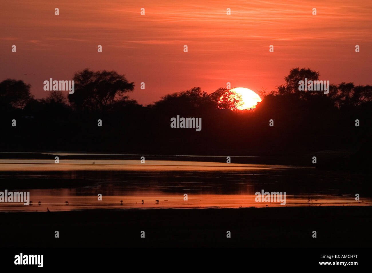 Sunrise al fiume luangwa Foto Stock
