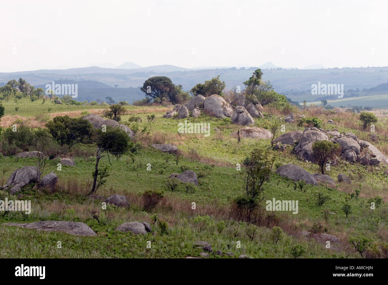 Altopiano Nyika NP Foto Stock