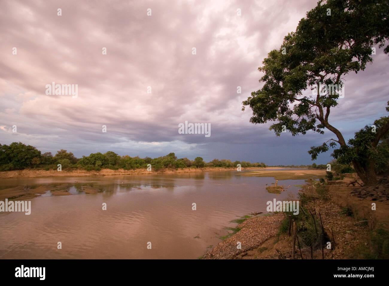 fiume Luangwa Foto Stock