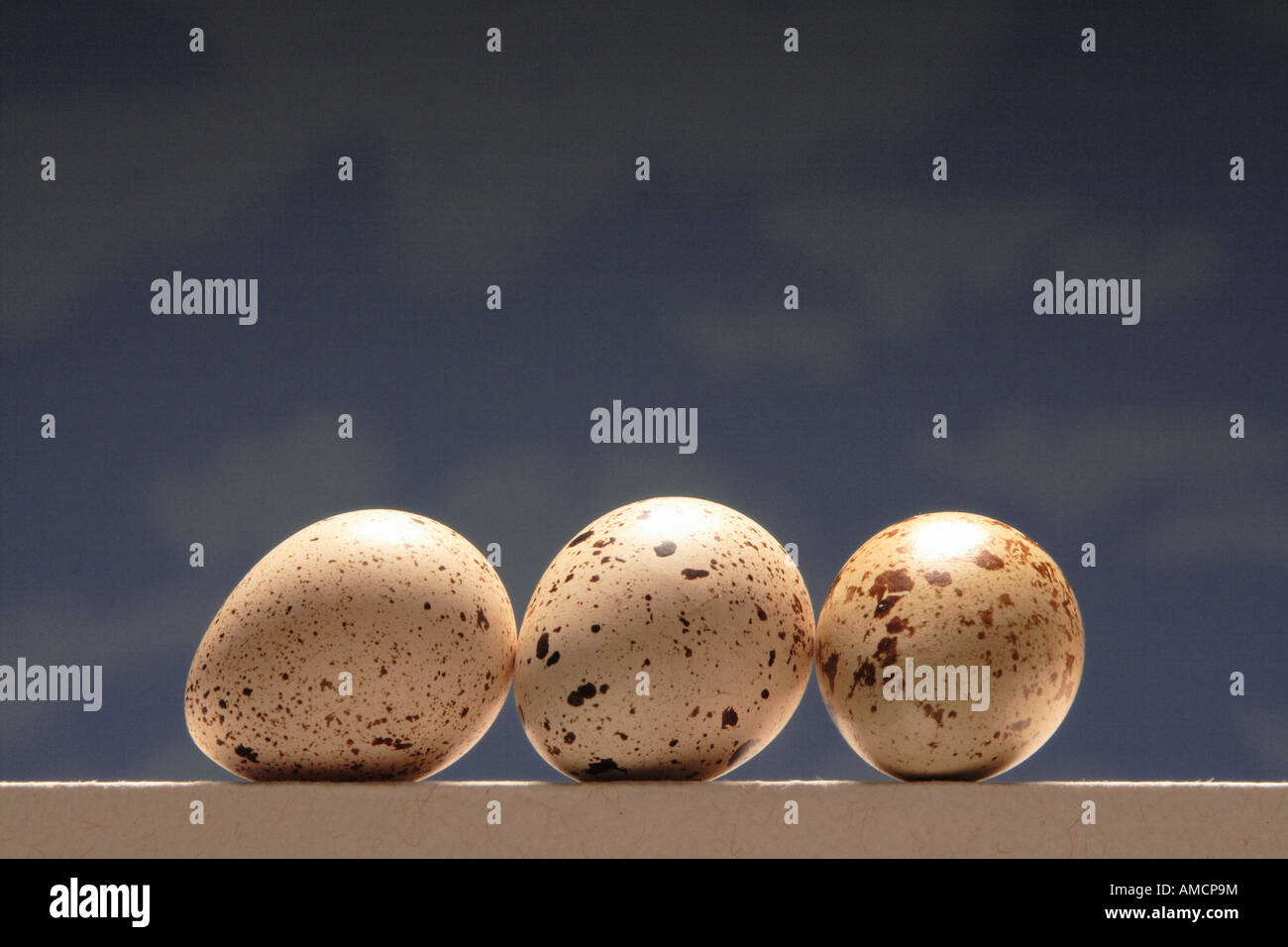 uova di uccello piccolo Foto Stock