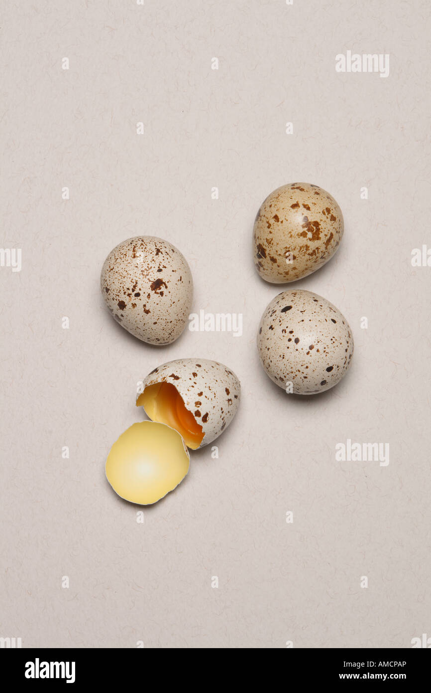 uova di uccello piccolo Foto Stock